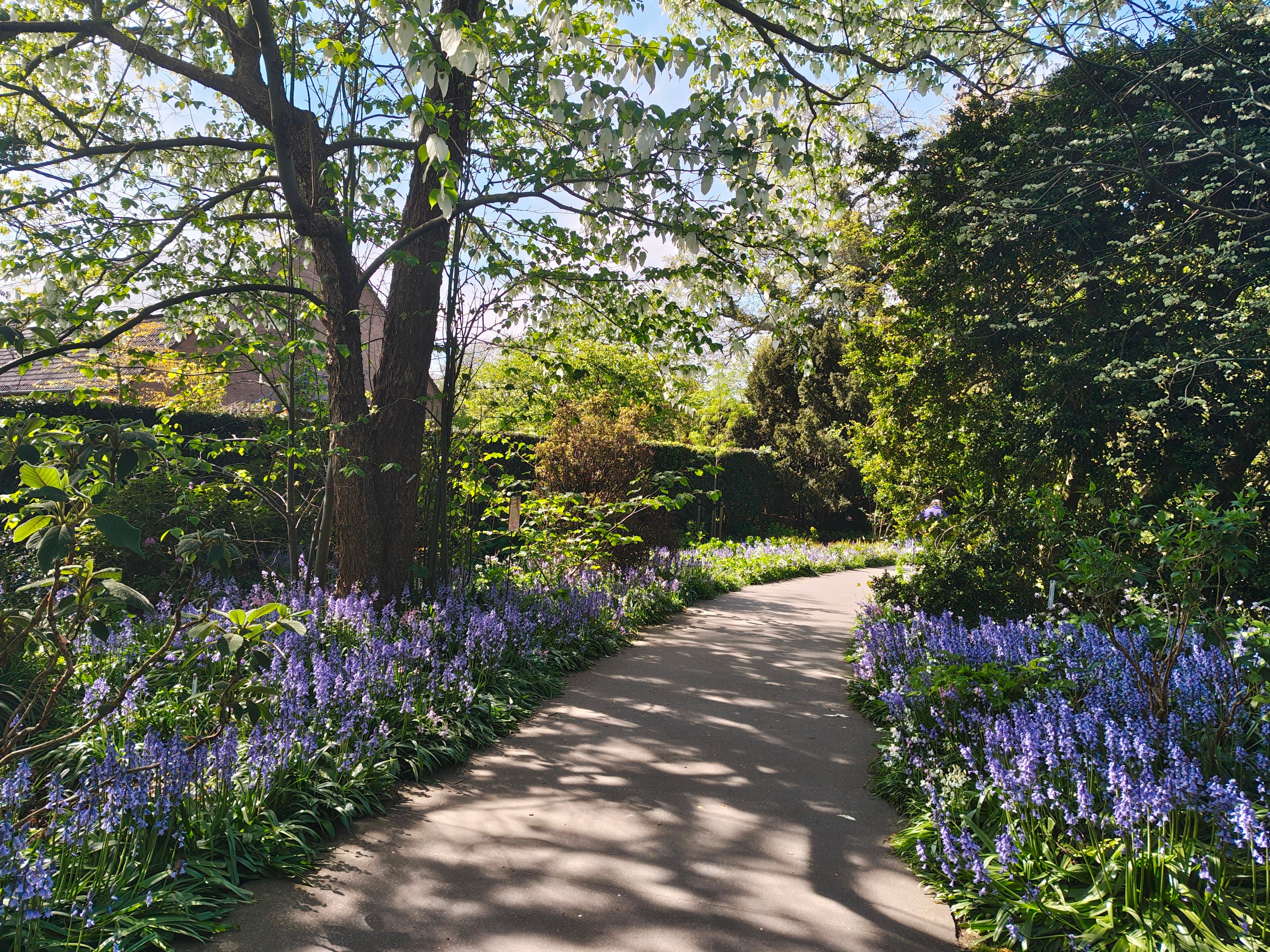 Een leerzame dag in het arboretum van Kalmthout! We deden nieuwe kennis op over drachtplanten en stonden stil bij de impact van het veranderende klimaat.